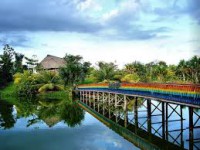 /album/fotogaleria-selva/descarga-1-jpg2/